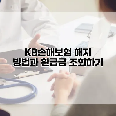 KB손해보험 해지 방법과 환급금 조회하기