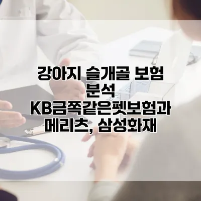 강아지 슬개골 보험 분석 KB금쪽같은펫보험과 메리츠, 삼성화재