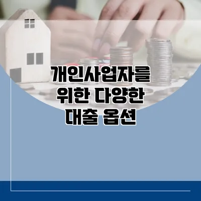 개인사업자를 위한 다양한 대출 옵션