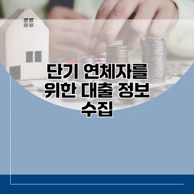 단기 연체자를 위한 대출 정보 수집