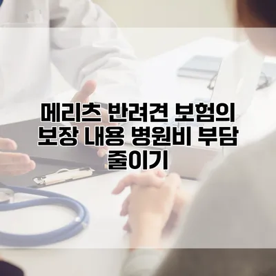 메리츠 반려견 보험의 보장 내용 병원비 부담 줄이기