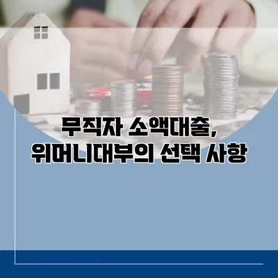 무직자 소액대출, 위머니대부의 선택 사항