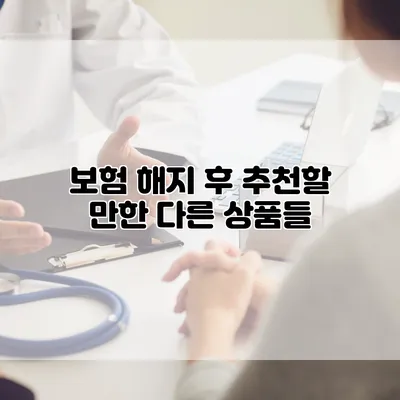 보험 해지 후 추천할 만한 다른 상품들