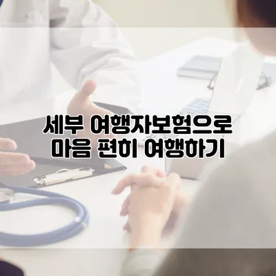 세부 여행자보험으로 마음 편히 여행하기