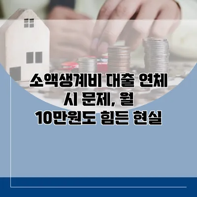 소액생계비 대출 연체 시 문제, 월 10만원도 힘든 현실