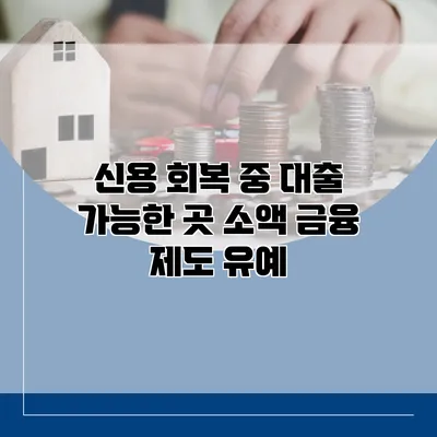 신용 회복 중 대출 가능한 곳 소액 금융 제도 유예