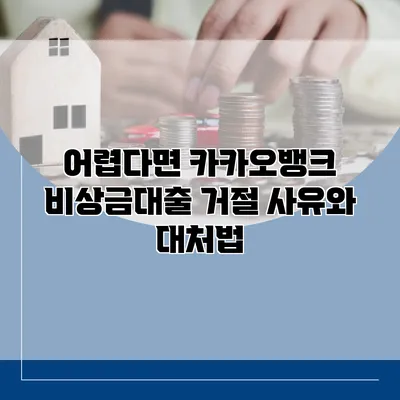 어렵다면? 카카오뱅크 비상금대출 거절 사유와 대처법