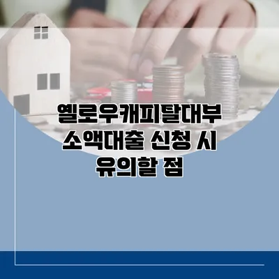 옐로우캐피탈대부 소액대출 신청 시 유의할 점