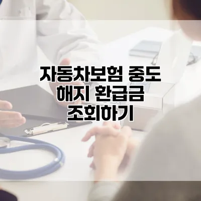 자동차보험 중도 해지 환급금 조회하기