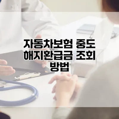 자동차보험 중도 해지환급금 조회 방법