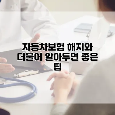 자동차보험 해지와 더불어 알아두면 좋은 팁