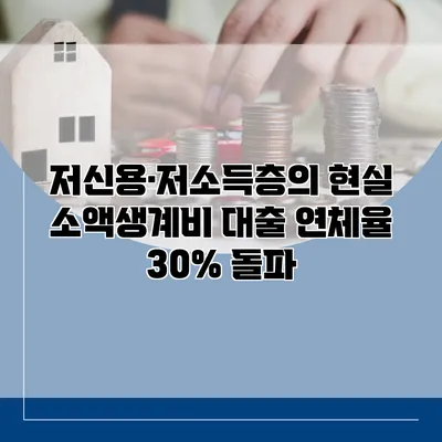 저신용·저소득층의 현실 소액생계비 대출 연체율 30% 돌파