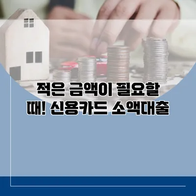 적은 금액이 필요할 때! 신용카드 소액대출