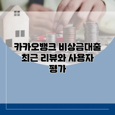 카카오뱅크 비상금대출 최근 리뷰와 사용자 평가