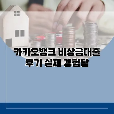 카카오뱅크 비상금대출 후기 실제 경험담