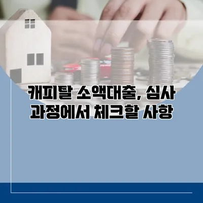 캐피탈 소액대출, 심사 과정에서 체크할 사항