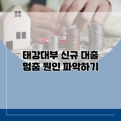 태강대부 신규 대출 멈춤 원인 파악하기