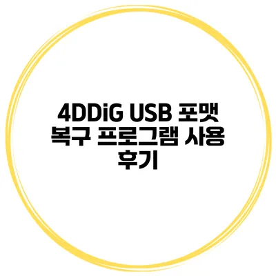 4DDiG USB 포맷 복구 프로그램 사용 후기