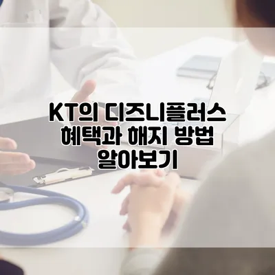 KT의 디즈니플러스 혜택과 해지 방법 알아보기