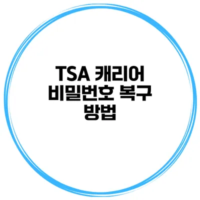 TSA 캐리어 비밀번호 복구 방법