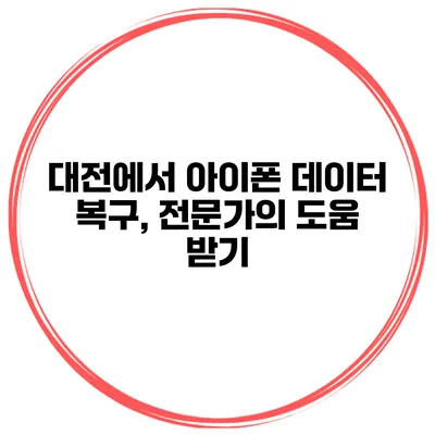대전에서 아이폰 데이터 복구, 전문가의 도움 받기