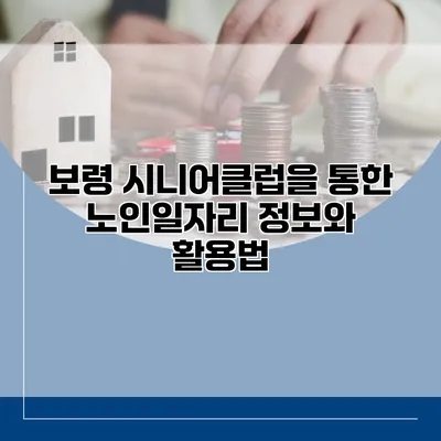 보령 시니어클럽을 통한 노인일자리 정보와 활용법