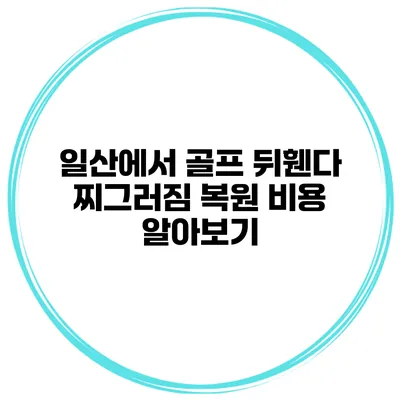일산에서 골프 뒤휀다 찌그러짐 복원 비용 알아보기