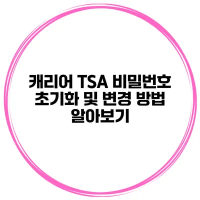 캐리어 TSA 비밀번호 초기화 및 변경 방법 알아보기