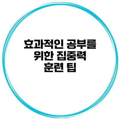 효과적인 공부를 위한 집중력 훈련 팁